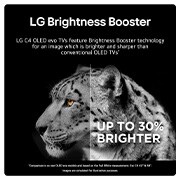 Brightness