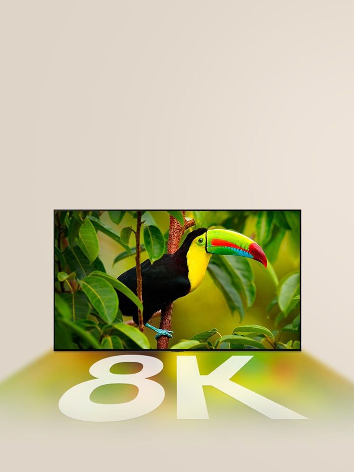 LG TV showing an exotic bird with trees on the screen, and the colors from the screen and "8K" in white reflecting below the LG TV.	