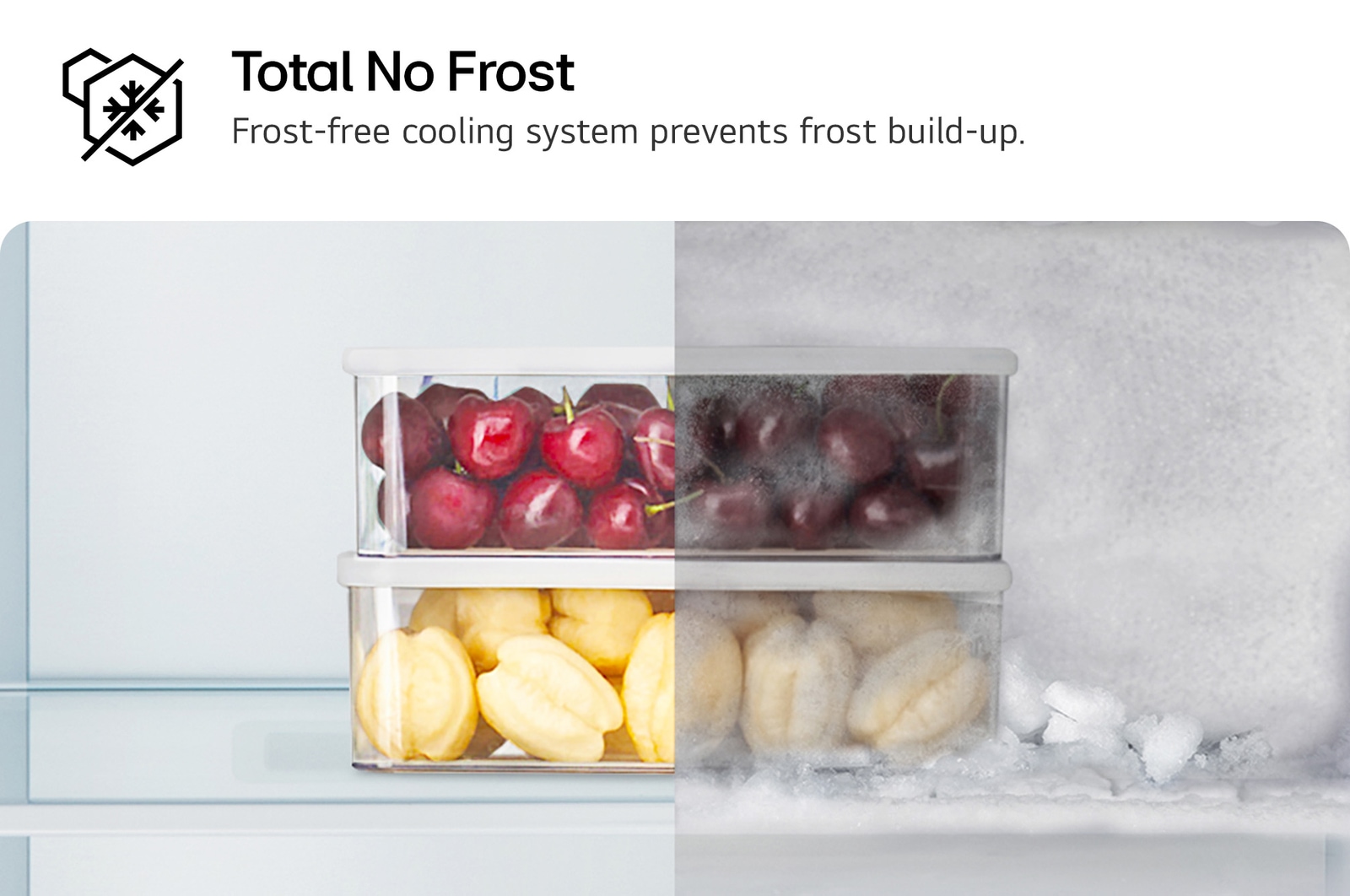 No frost