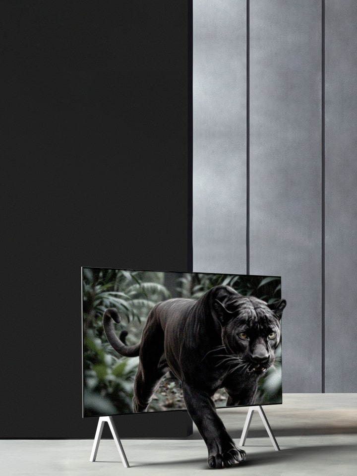Panther in a jungle seemingly coming out of an LG TV screen on a stand. Lines appear as if AI is analyzing the panther and then the background. The overall image is enhanced showing how AI Perceived Object Enhancer brings 3D depth to every scene. 