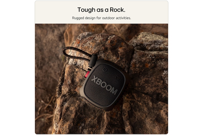 left perspective view