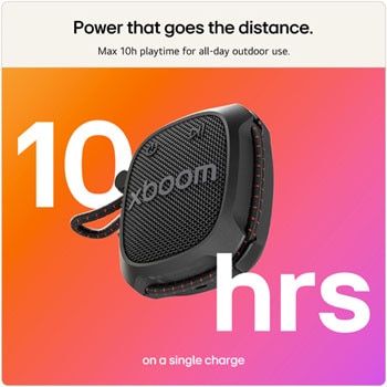 left perspective view