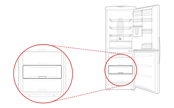 This is a drawer in the middle of the freezer compartment