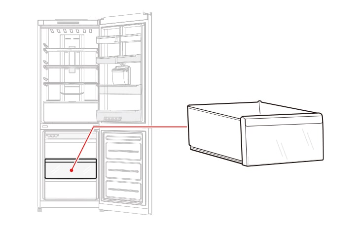 This is a drawer in the middle of the freezer compartment