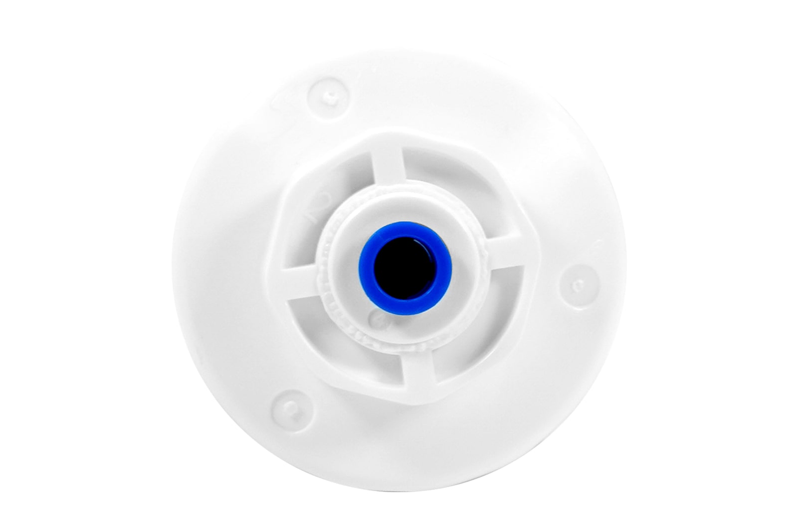 bottom view