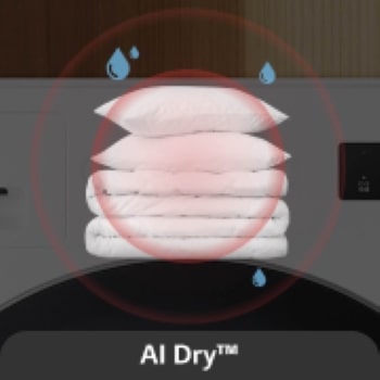 AI Dry™