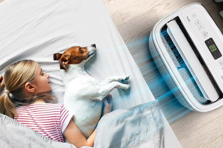 A child and a dog sleep in the cool breeze of the air conditioner	