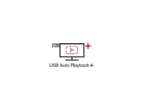 USB Auto Playback+1