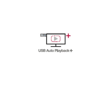 USB Auto Playback+