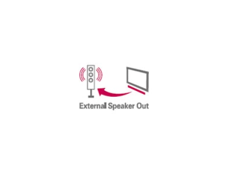 External Speaker Out1