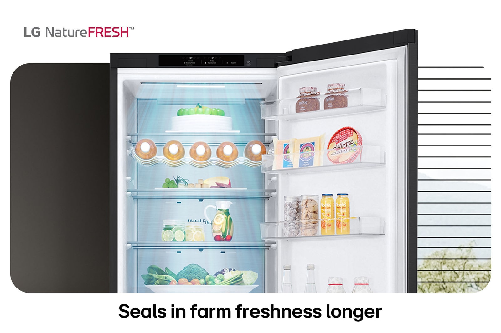LG Fridge Freezer GBV5240CEP showing NatureFRESH interior with wine rack and fresh produce drawers for long-lasting freshness.