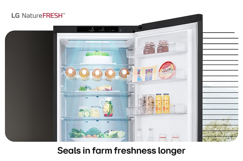 LG Fridge Freezer GBV5240CEP showing NatureFRESH interior with wine rack and fresh produce drawers for long-lasting freshness.