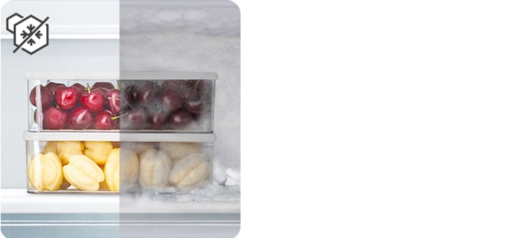 Comparison of frozen fruit containers without and with frost