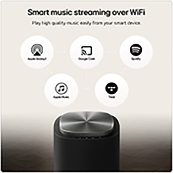 Left 45 degree view of SPQ8-S with standing receiver