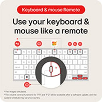 Keyboard & mouse remote