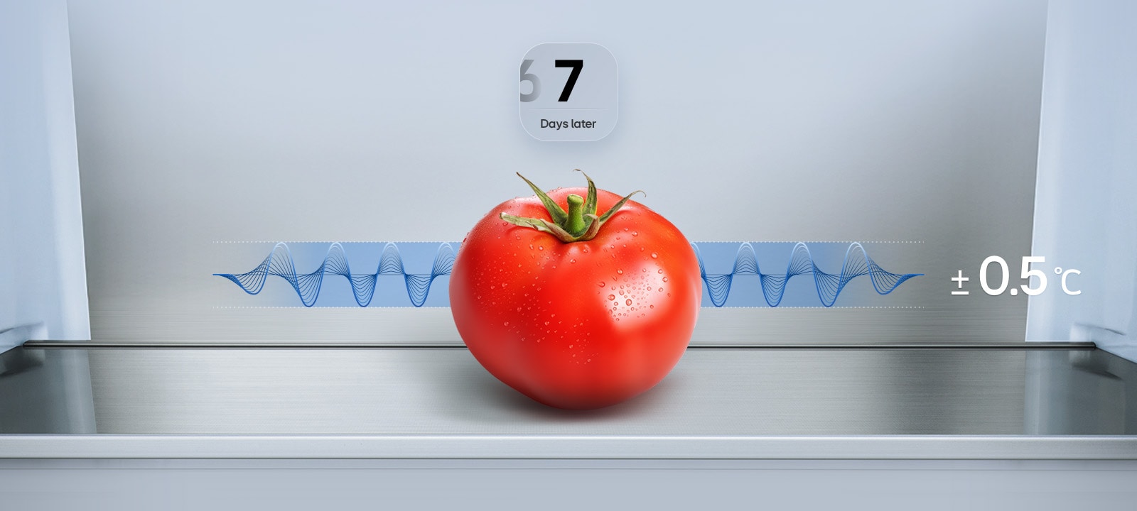LG fridge freezer (GBBS726CPY) graphic showing fresh tomato after 7 days with blue fluctuation graph and text ±0.5°C