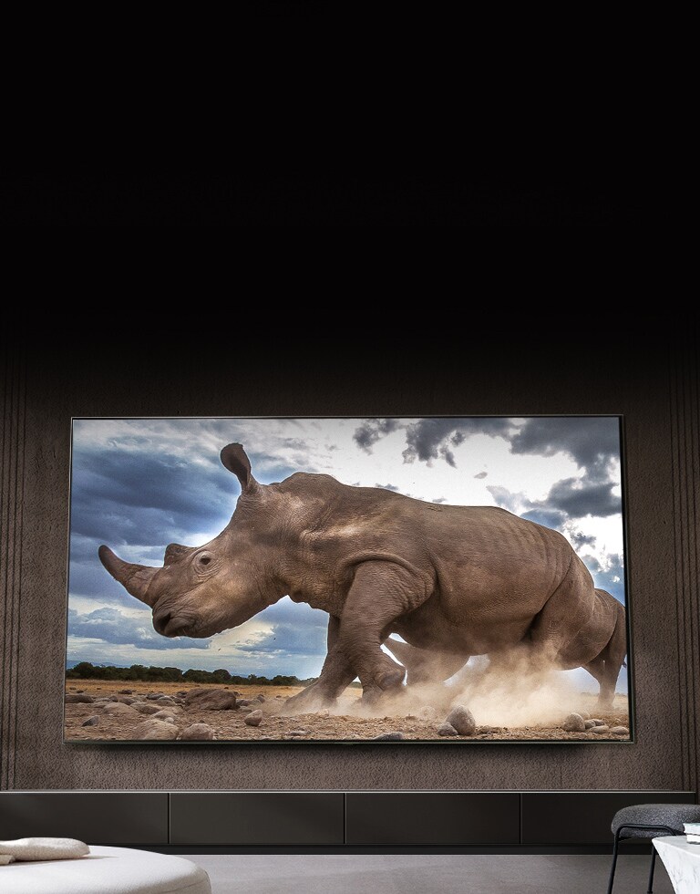 QNED's ultra-big screen is magnificently displayed at low angles.