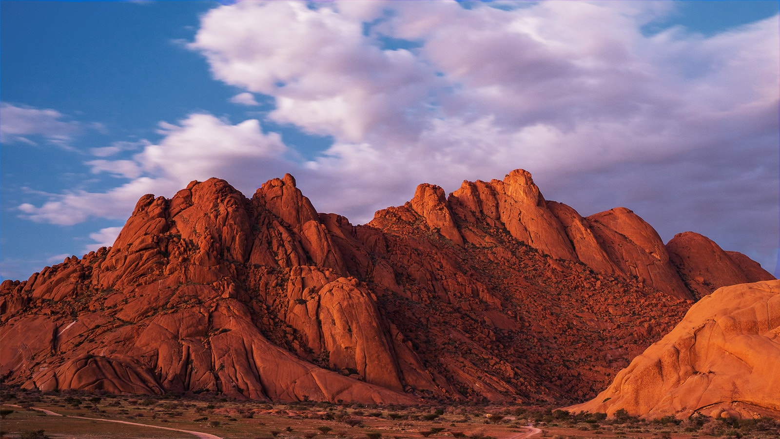 An image of a sunset captured in between two trees in a lavender field is enhanced with the α5 Gen5 AI Processor 4K.