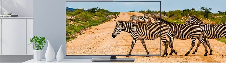 The TV with slim bezel shows the screen with realistic images to enhance viewer experience.