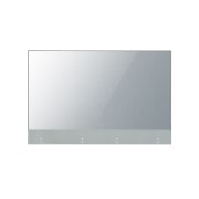 LG Indoor 55" Transparent OLED Signage | 55EW5G-V, 55EW5G-V