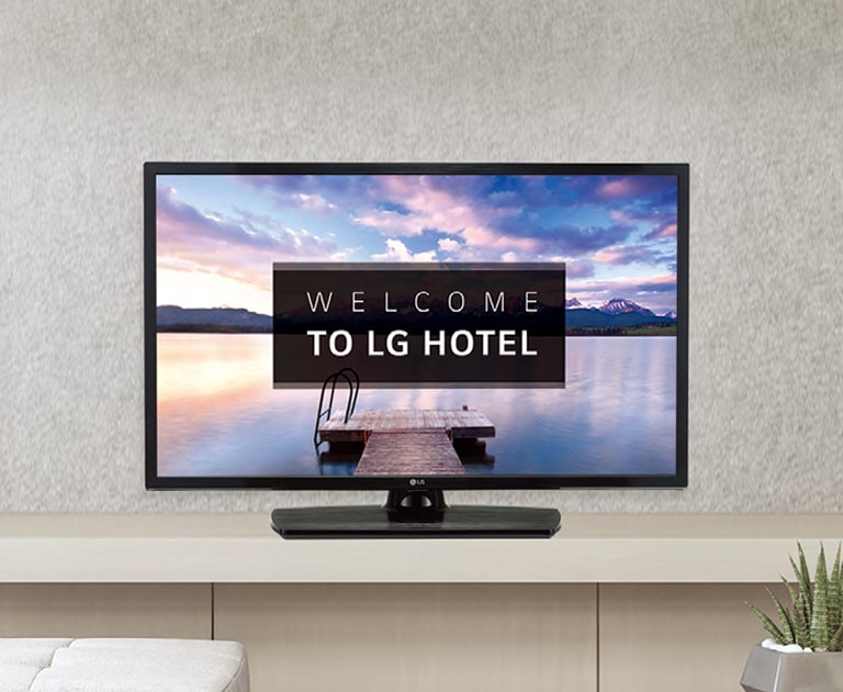32" ProCentric Hotel TV 32LS341H0ZA LG UK