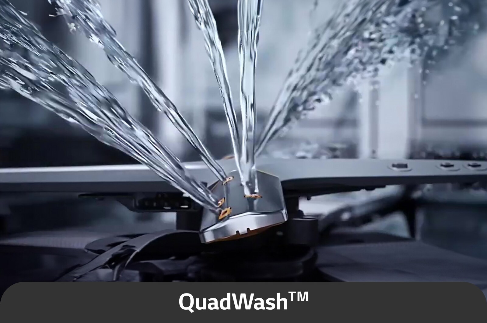 USP image for quad wash