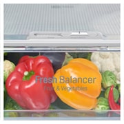 LG Smart Fridge Freezer with Total No Frost and Inverter Linear Compressor, GBB60PZPFS