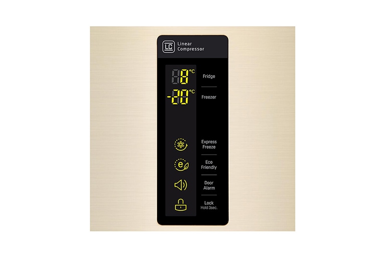 LG Smart Fridge Freezer with Total No Frost and Inverter Linear Compressor, GBF548GVDZH