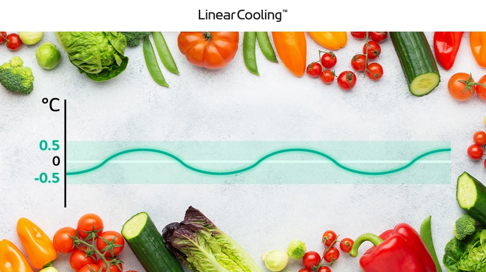 Fresh vegetables encircle a temperature graph with a linear cooling label, maintaining a stable range around 0°C.