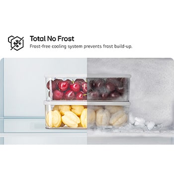 Total No Frost