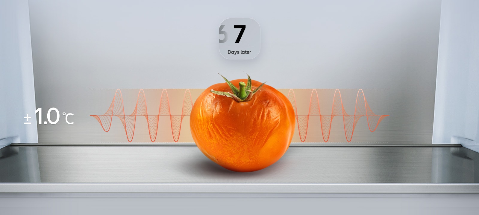 LG fridge freezer (GBBS726CEV) graphic showing wilted tomato after 7 days with red fluctuation graph and text ±1.0°C	