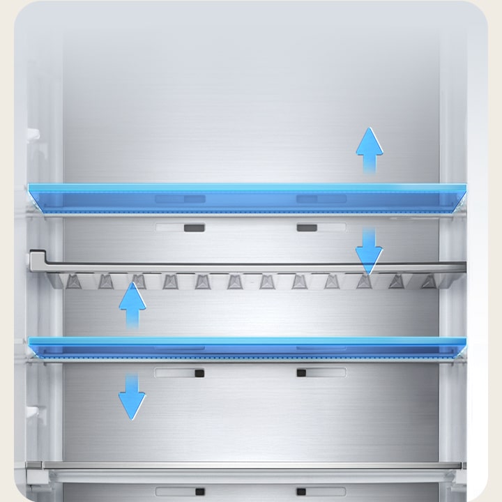 LG fridge (GBBS726CEV) interior view with five shelves and adjustable height levels shown with blue arrows indicating vertical movement