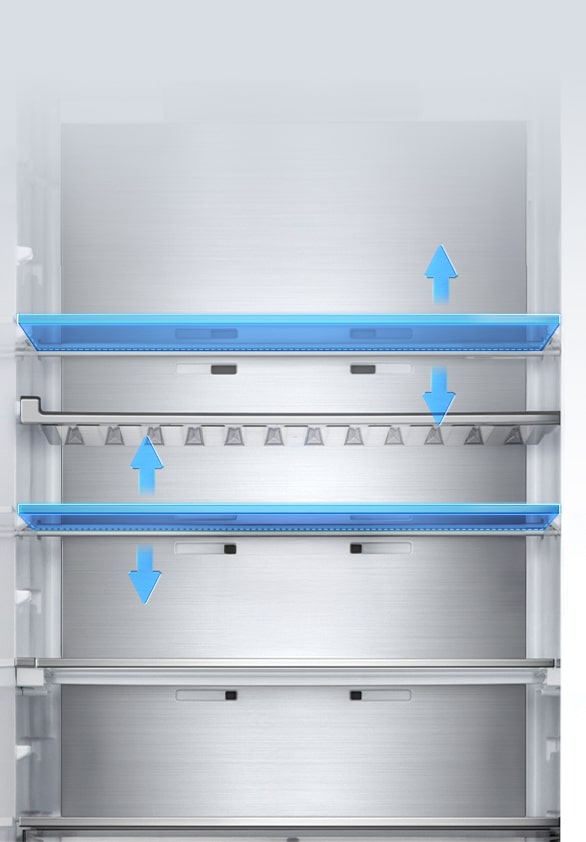 LG fridge (GBBS524CPY) interior view with five shelves and adjustable height levels shown with blue arrows indicating vertical movement