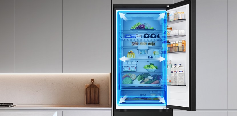 LG bottom freezer  fully open with upper fridge compartment showing food in drawers with blue overlays and arrows highlighting spacious interior