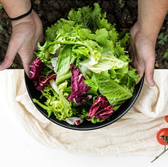 Hands holding a bowl filled with fresh vegetables on a table.