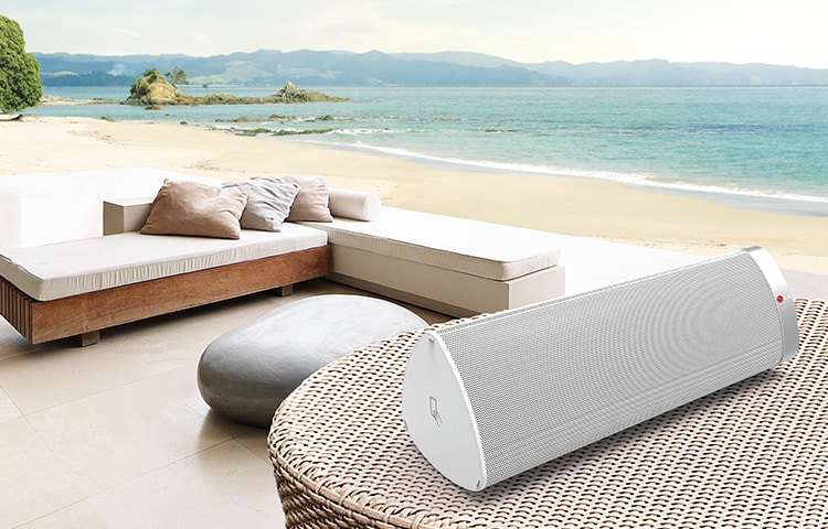 Front view of NP6630 Rechargeable Portable Speakers offering wireless audio streaming via Airplay and Bluetooth™ NP6630