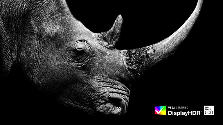 The image of the rhinoceros in the dark expresses its accurate colour.