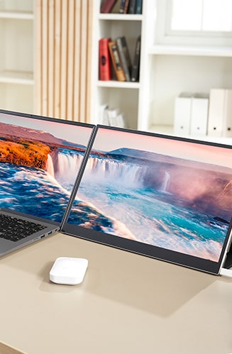 Dual Display