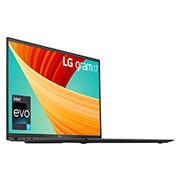 LG gram 17 32GB 16:10 IPS Laptop - 17Z90R-K.AD7BA1