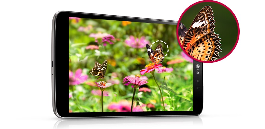 Rich 273 ppi Pixel Density