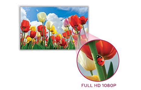 Full HD