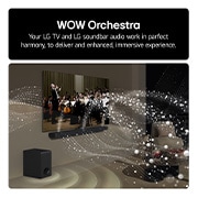 wow orchesta