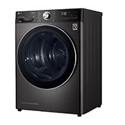 LG Eco Hybrid™ Heat Pump Tumble Dryer | 9kg | A+++ | Black Steel, FDV1109B