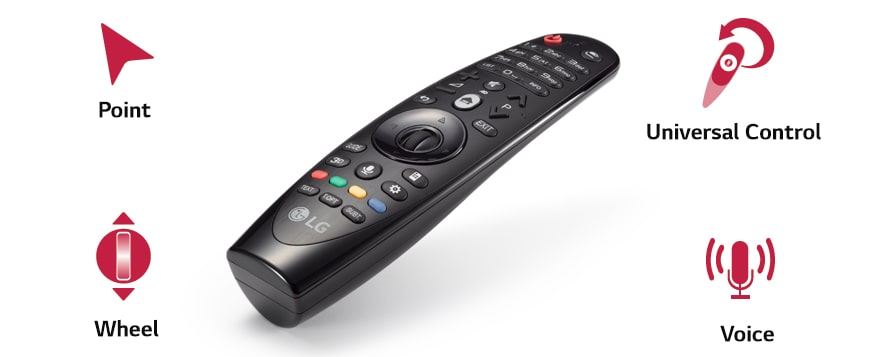 Magic Remote Control