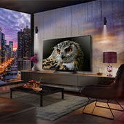 lifestyle image view