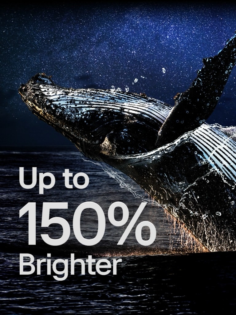 A whale jumping out of the ocean against a black backdrop. The words "up to 150% brighter" appear above the whale and become brighter. The scene instantly brightens, revealing the Milky Way in the sky, bright markings on the whale, and glistening droplets of water.