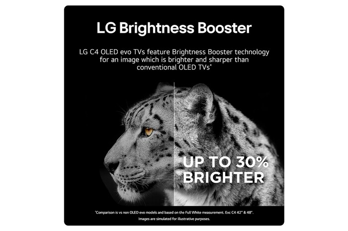 brighness booster