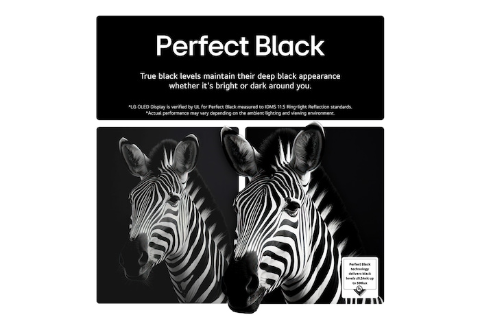 Living room space with a wall-mounted LG OLED TV. On the TV is a mountain range against a dark evening sky filled with stars. This scene is split in half to show how Perfect Black delivers true black levels whether it's bright or dark around you. One side of the scene shows a duller, grayer version of the landscape labeled, Matte display. On the other side is a more pleasing picture with a larger 