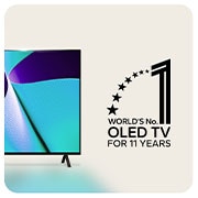 NO.1 for 11 years view