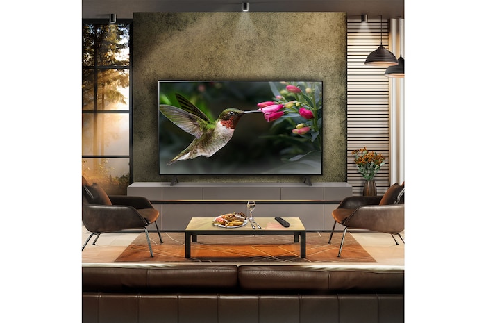 LG 65 inch LG OLED AI B4 4K Smart TV 2024, OLED65B46LA